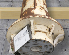 BAUER CFA Kelly Extensions